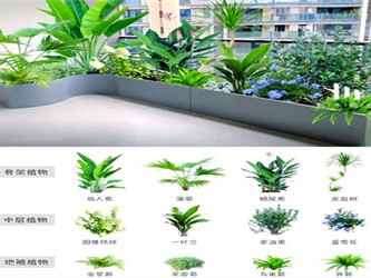 阳台不同朝向绿植搭配攻略，适配光照，易养易活