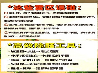 家装甲醛治理全攻略，科学除醛，守护家人健康